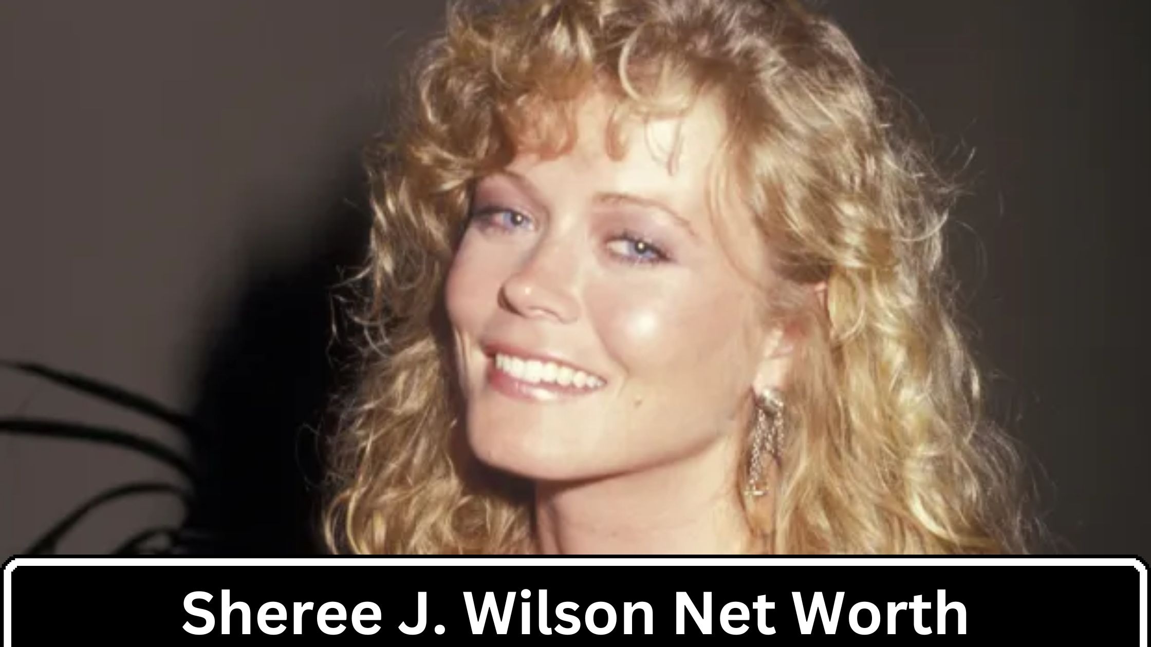 Sheree J. Wilson Net Worth