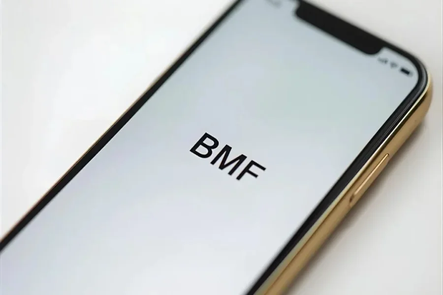 What Does BMF Mean