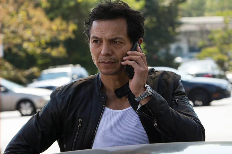 Benjamin Bratt Net Worth